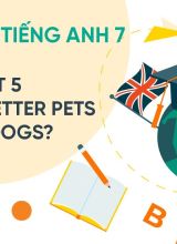 Unit 5 Are Cats Better Pets Than Dogs - Tiếng Anh 7  -  Hoc10